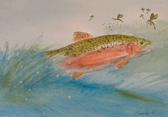Aquarelle 2024