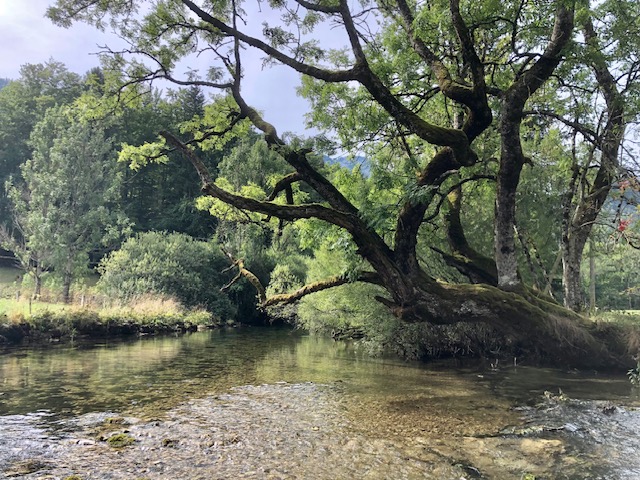L'Orbe, Vallorbe