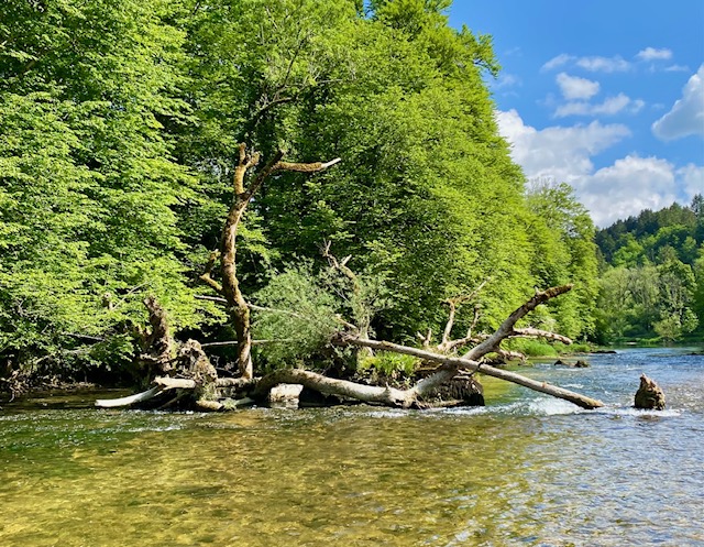 Le Doubs, Tariche