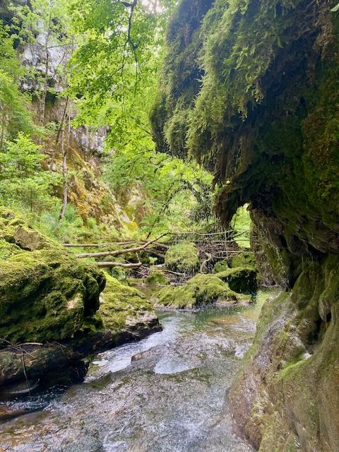 Les gorges de l'Orbe